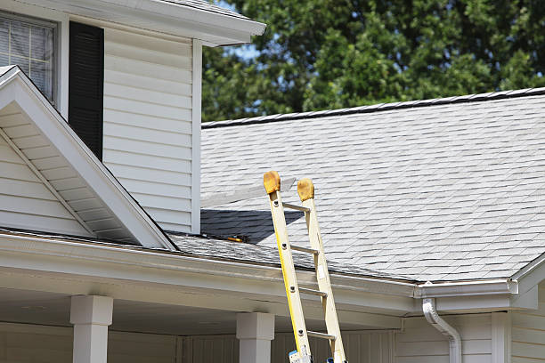 Best Fiber Cement Siding Installation  in Charleston, MO